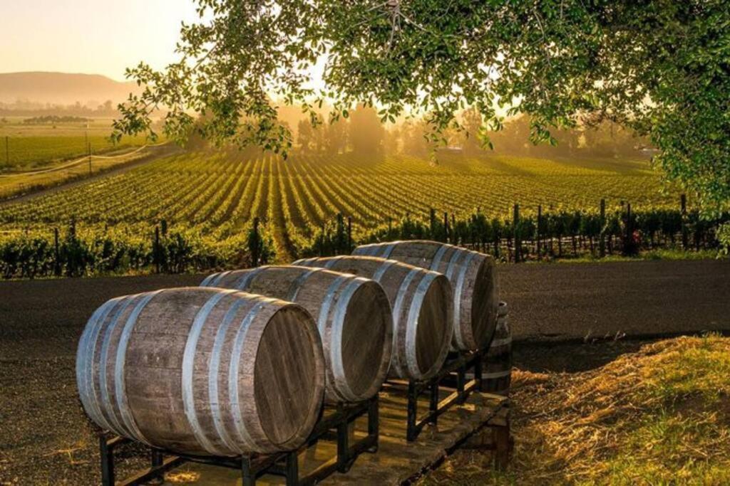 The Container Retreat @ 290 Wine Trail #10 Welcome Friends! Hye Экстерьер фото